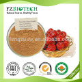 Dry Products Good for Woman Dried Low price Pure Natural Red Dates Powder